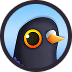Influencer profile 5